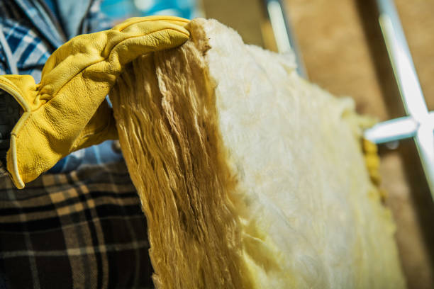 Best Types of Insulation in Venice, FL
